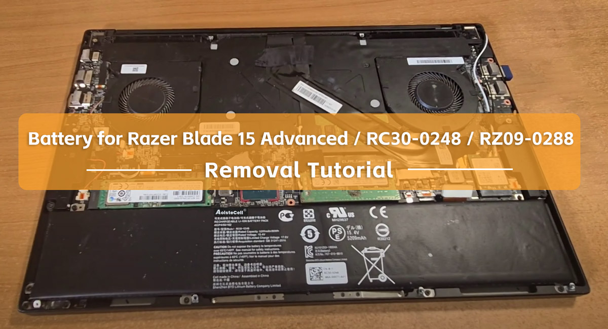 Razer Blade 15 Advanced / RC30-0248 / RZ09-0288 Battery Removal Tutorial